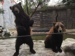 -灵玲国际马戏城