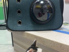 -瑞鹏瑞爱宠物医院·全科·猫科·血液透析中心(龙头寺店)