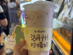 柠檬奶-猫的魔法密林(衣裳街店)