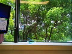 -泰康拜博口腔(世博园乐尔店)