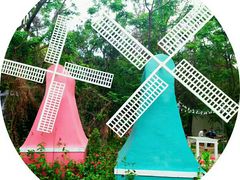 -那琴半岛地质海洋公园