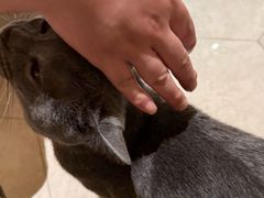 -扬州东关街文昌阁桔子水晶酒店