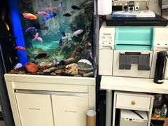 -方快-照相馆(莘庄沁春路店)