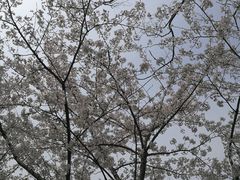 -玉山公园