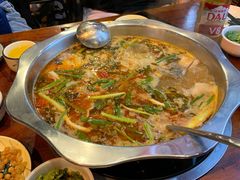 酸萝卜鱼火锅-大理.老字号渝记酸萝卜乌鱼(古城总店)