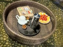 -陆地游轮吉林神农温泉