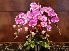 -翡翠36餐厅(浦东香格里拉店)