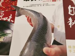 -正能量脆肉鲩火锅