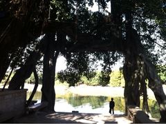 iphone_upload_pic-小洲村