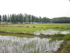 -广富林郊野公园