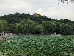 -北山公园