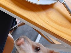 -Egg•Allday Brunch(襄阳北路店)