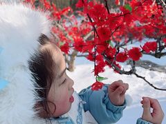 -威海华夏城景区