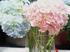 绣球花-Olé精品超市(广州太古汇店)