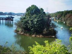 -水濂山森林公园