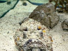 -太平洋海底世界