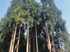 -太阳湾风景区