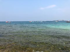 -月光岛