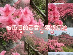 -木兰云雾山