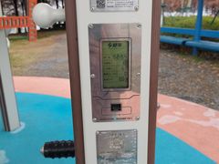 -贡湖湾湿地公园