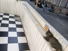 -黄兴南路步行商业街