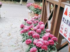 -天怡·鱼工厂(梅溪湖店)