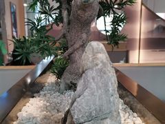 -马家斑.鲜鱼火锅(松湖万科店)