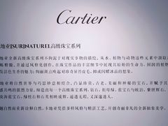 -艺仓美术馆