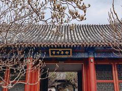 -颐和园