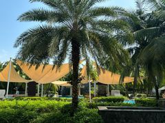 -三亚海棠湾喜来登度假酒店