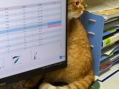 -康成宠物医院24H·CT·核磁共振