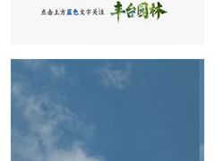 -云岗森林公园
