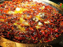 -雲蜀龙阁·金牌水煮鱼(方庄店)