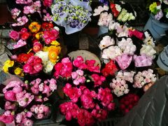 -秦美花卉(天朗·莱茵小城2期店)