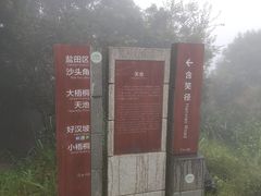 -梧桐山风景名胜区