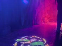 -观唐（国际）度假村温泉