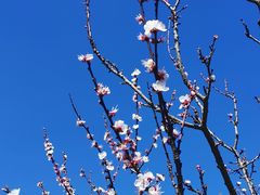 -名花谷生态庄园