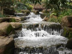 -中国茶叶博物馆(双峰馆区)