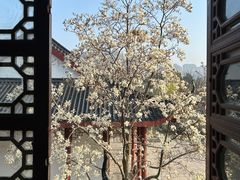 -堤角公园