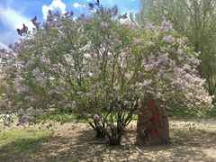 -长春公园(普阳街道)