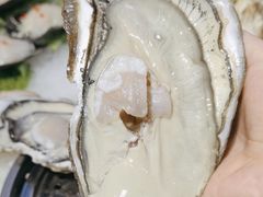 -77号·蒸海鲜青岛菜(积米崖店)