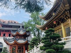 -上海东林寺(金山区)