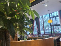 -大鸽饭(马王堆店)