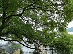 -东湖落雁景区