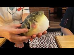 -永安鱼庄·镇江菜(丁卯店)