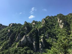 -王顺山国家森林公园