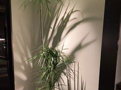 -花锦堂·隐庐