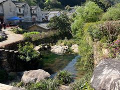 -雁南飞茶田景区