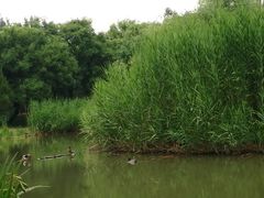 -水上明月·湖景餐厅