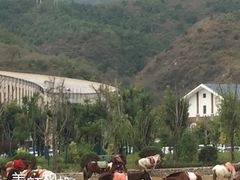 -百里峡七彩艺术小镇